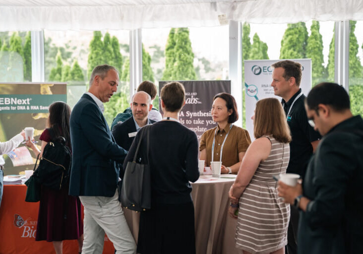 Network-With-Decision-Makers-768x512-1